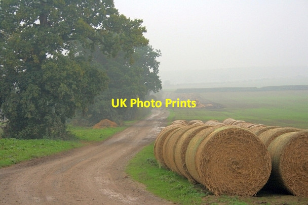 Photo 6"x4" Farm Track near Park House Aldbrough St John c2013