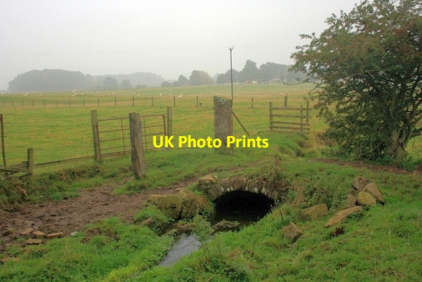 Photo 6"x4" Small Bridge over Mary Wild Beck Aldbrough St John c2013