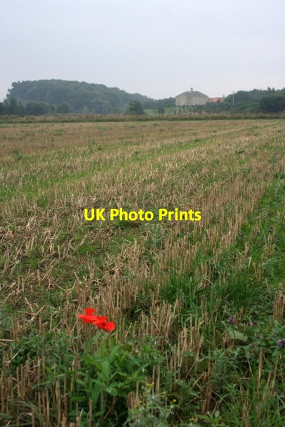 Photo 6"x4" Stubble Field near Aldbrough St. John Aldbrough St John c2013
