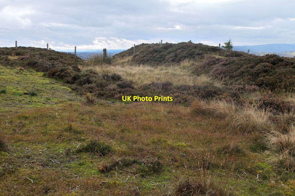 Photo 6"x4" The north end of Wallace's Trench Hangingshaw\/NT3930 c2013