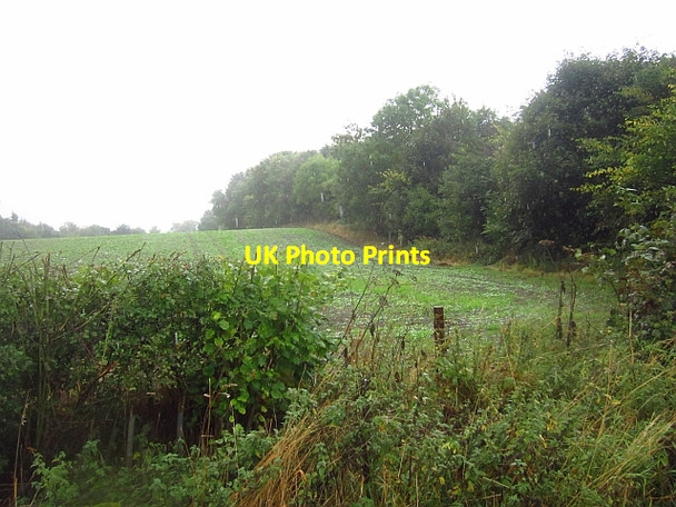 Photo 6"x4" Arable land, Newcairnie Easter Kinsleith c2013