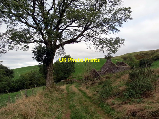 Photo 6"x4" Ffarm Nant-goch \/ Nant-goch Farm Talsarn\/SN7726 c2013