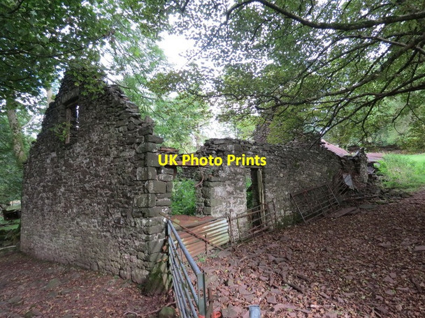 Photo 6"x4" Ffarm Llanerch Goch \/ Llanerch Goch Farm Talsarn\/SN7726 c2013