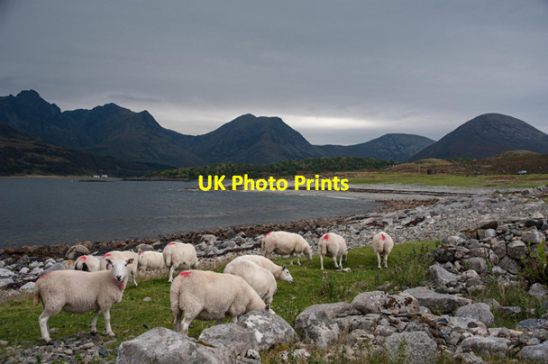 Photo 6"x4" Loch Slapin at Camas Malag Torrin\/Na Torrin c2013