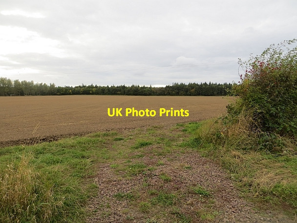 Photo 6"x4" Field, Liberty Hall Gladsmuir\/NT4573 c2013