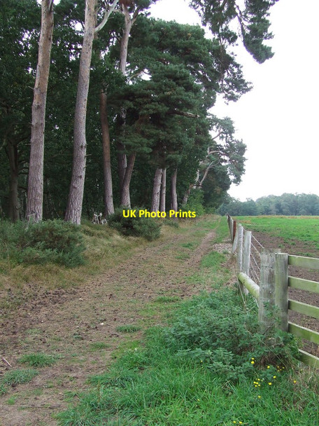 Photo 6"x4" Footpath To Eriswell Mildenhall\/TL7175 c2013