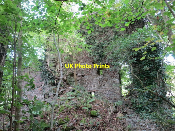 Photo 6"x4" Ty Injin Cae Sara Engine House Cilgwyn\/SN7429 c2013