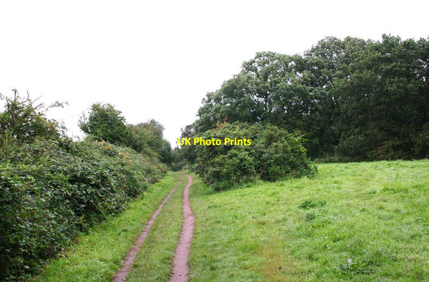 Photo 6"x4" Public footpath by western edge of Bunkers Hill Wood, Staffs Stourbridge c2013
