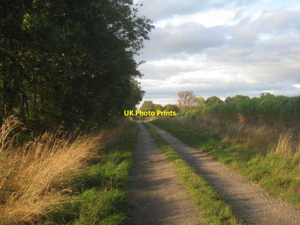 Photo 6"x4" The track to Bloomhill Farm Bursea c2013