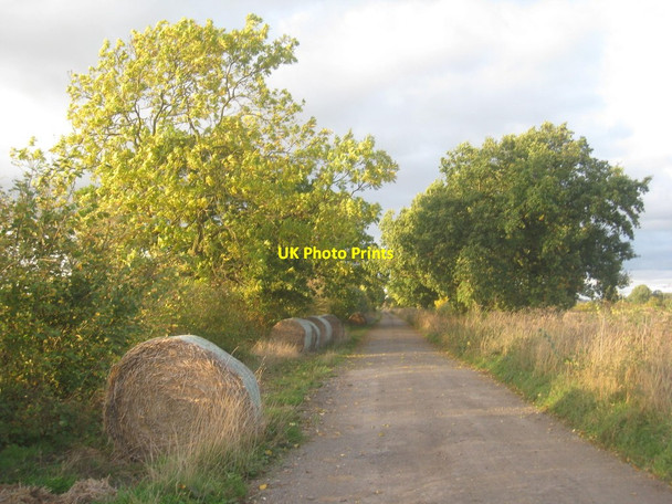 Photo 6"x4" New Carr Lane Bursea c2013