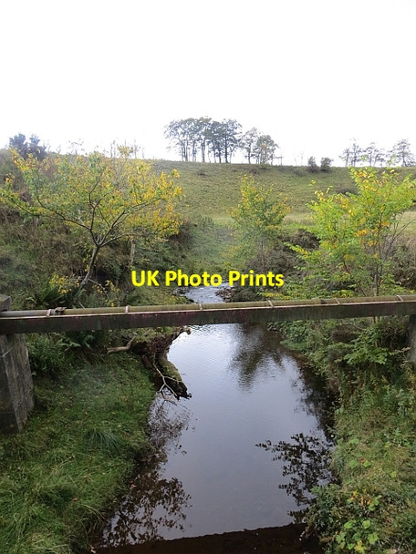 Photo 6"x4" Earnscleugh Water Lauder c2013