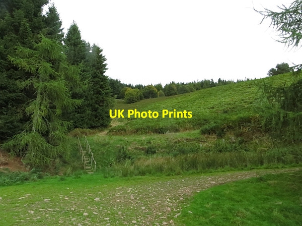 Photo 6"x4" Reentrant,  Edgarhope Wood New Mills\/NT5249 c2013