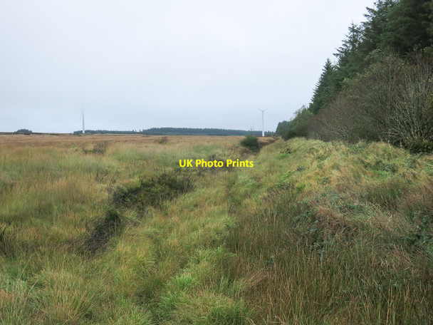 Photo 6"x4" Wind farm and forestry Inchabaun c2013