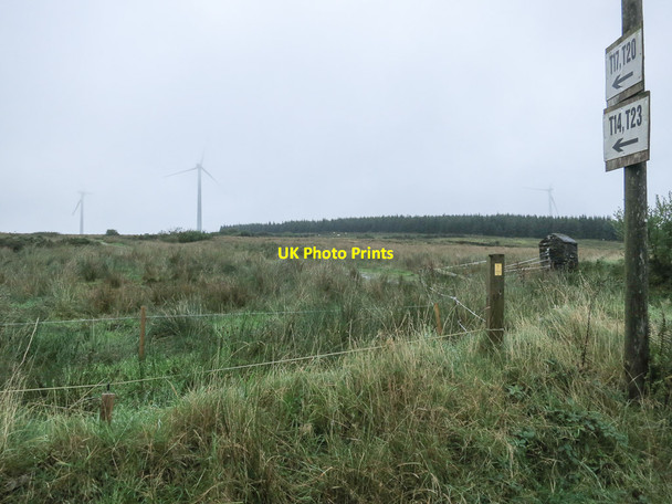 Photo 6"x4" Wind farm, moorland, forestry Inchabaun c2013