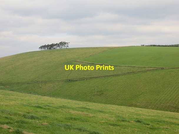 Photo 6"x4" Hillside, Birniehill Duncrievie c2013