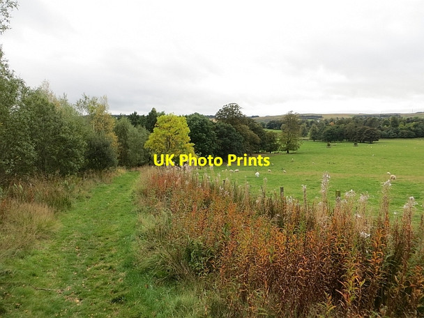 Photo 6"x4" Path, The Thicket Lauder c2013