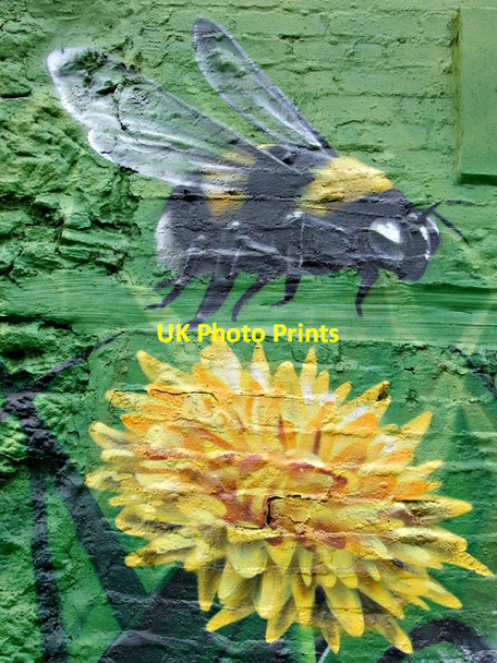 Photo 6"x4" City Halls graffiti style mural Glasgow c2013