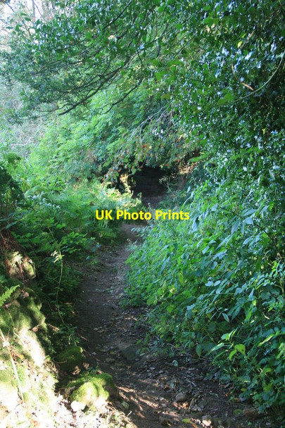 Photo 6"x4" Bridleway near Kelstedge Uppertown\/SK3264 c2013