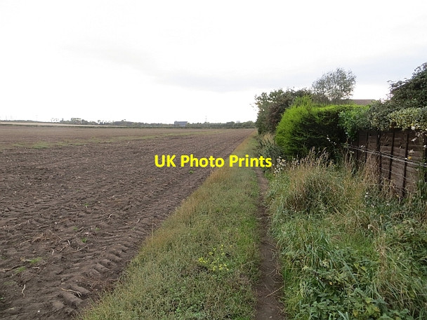 Photo 6"x4" Field edge, Port Seton Cockenzie and Port Seton c2013