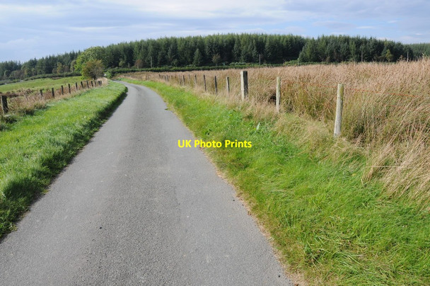 Photo 6"x4" Country road and Dyfnant Forest Pont Llogel c2013