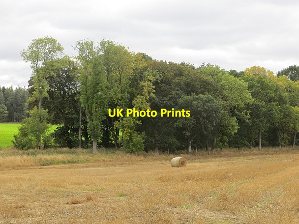 Photo 6"x4" Round bale, Redside Carrington\/NT3160 c2013
