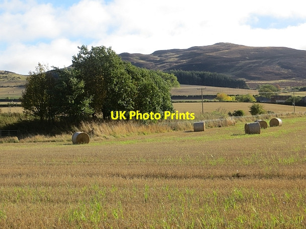 Photo 6"x4" Stubble beneath King's Seat Hill Saucher c2013