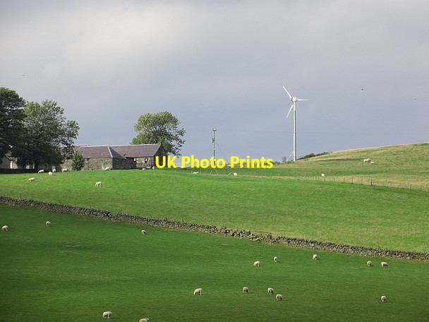 Photo 6"x4" Improved pasture, Plains Glenfarg c2013