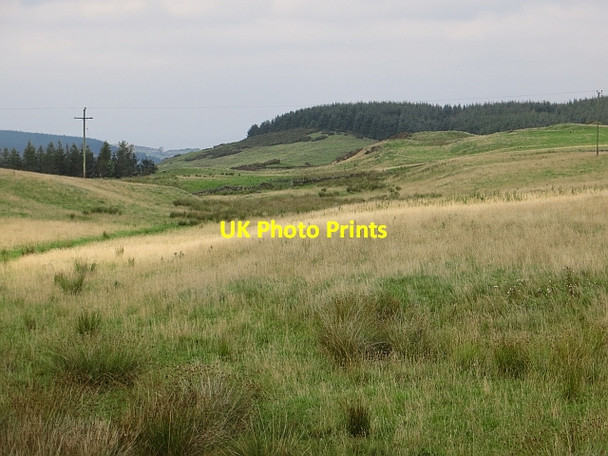 Photo 6"x4" Hill grazing near Plains Path of Condie c2013