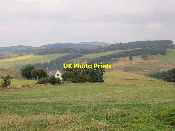Photo 6"x4" Struie Lodge Path of Condie c2013