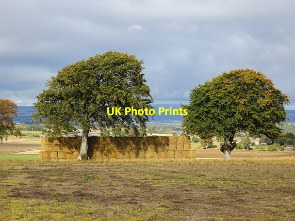 Photo 6"x4" Stacked round bales Burrelton c2013