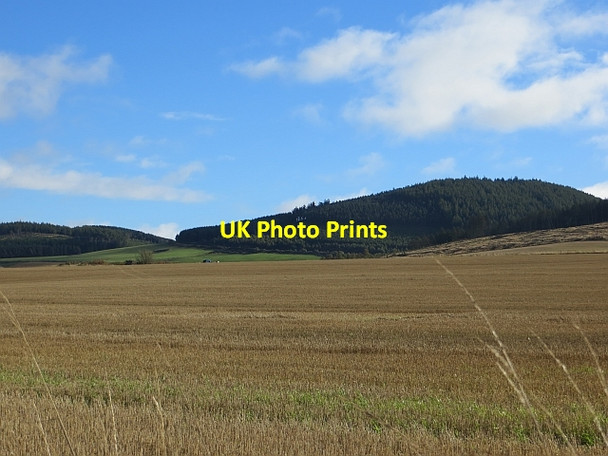 Photo 6"x4" Stubble, South Gask Kettins c2013