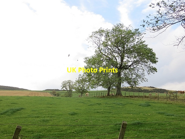 Photo 6"x4" Grass fields, Binzean Pathstruie c2013