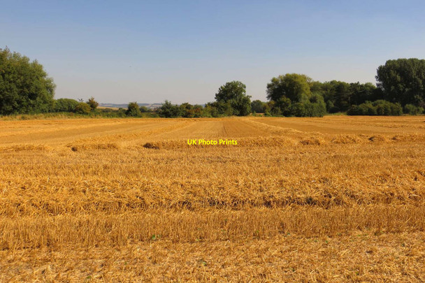 Photo 6"x4" Arable field at South Moreton South Moreton c2013