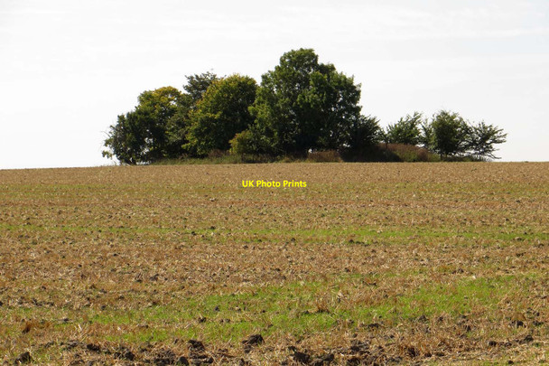 Photo 6"x4" Farmland on Cholsey Hill Cholsey c2013