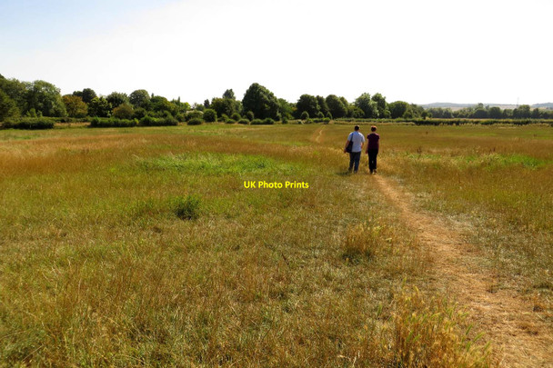 Photo 6"x4" Footpath to the Bulls Hole Cholsey c2013