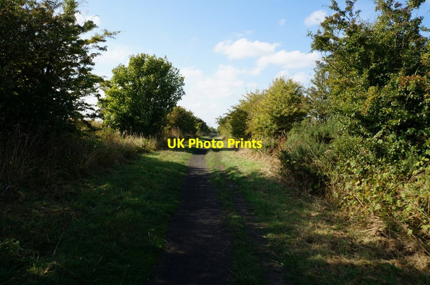 Photo 6"x4" The former Withernsea to Hull rail line Hedon c2013 P1