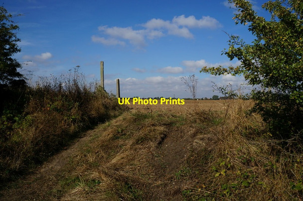 Photo 6"x4" A path leading to West End, Preston Hedon c2013