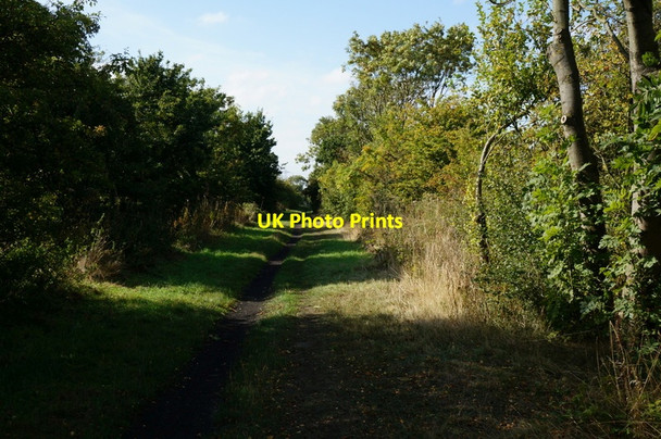 Photo 6"x4" The former Withernsea to Hull rail line Hedon c2013 P1