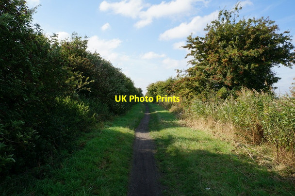 Photo 6"x4" The former Withernsea to Hull rail line Hedon c2013 P1