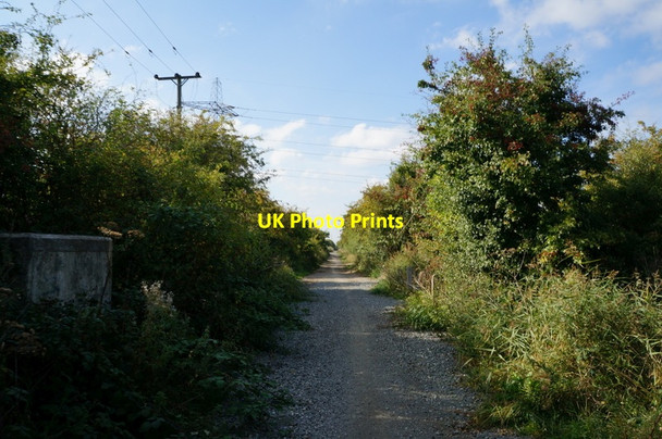 Photo 6"x4" The former Withernsea to Hull rail line Salt End c2013