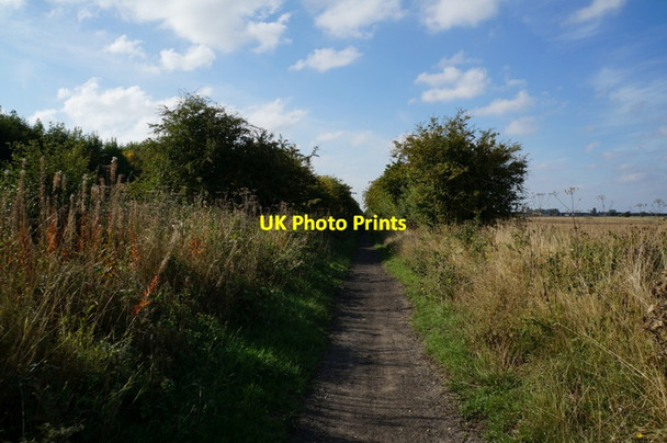 Photo 6"x4" The former Withernsea to Hull rail line Salt End c2013