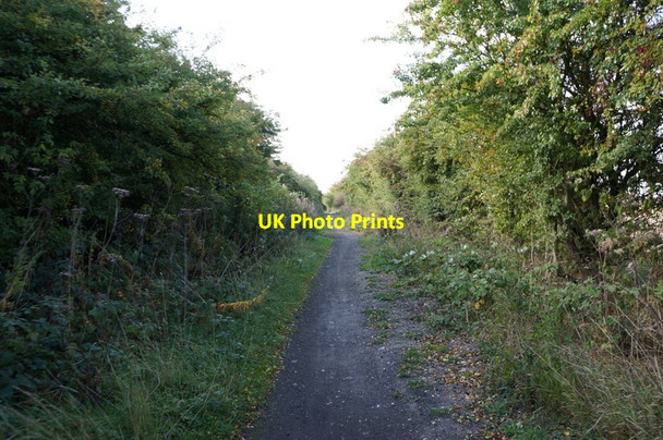 Photo 6"x4" The former Withernsea to Hull rail line Salt End c2013 P1