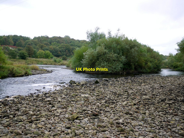 Photo 6"x4" Shingle islands on the River Tyne south of Ovingham Prudhoe c2013