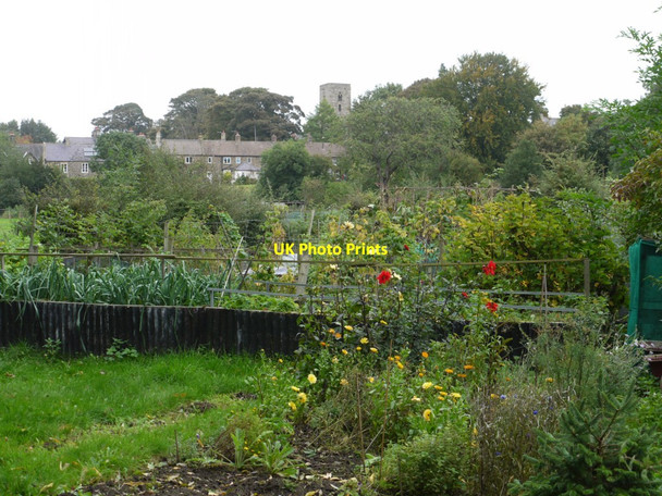 Photo 6"x4" Allotments south of Ovingham Prudhoe c2013
