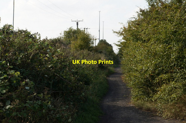Photo 6"x4" The former Withernsea to Hull rail line Salt End c2013