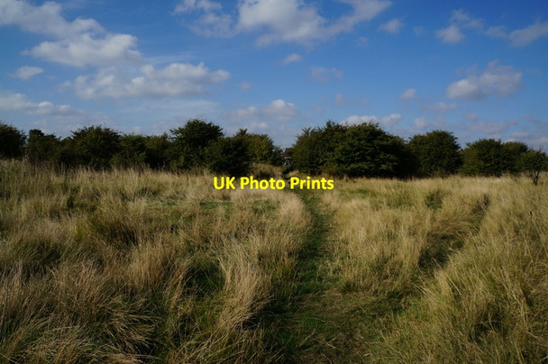 Photo 6"x4" A path leading to Falkland Road, Hull Salt End c2013