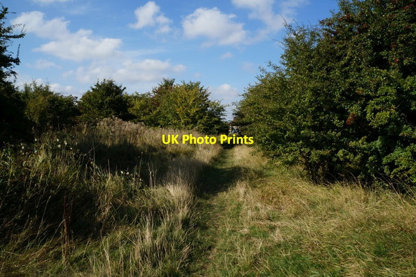 Photo 6"x4" A path leading to Falkland Road, Hull Salt End c2013 P1