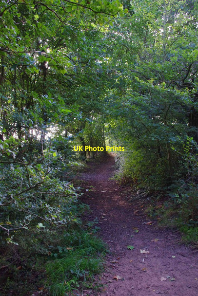 Photo 6"x4" Public footpath to Stanklyn Lane, near Spennells, Kidderminster Stanklyn c2013