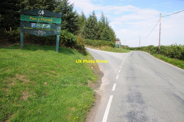 Photo 6"x4" Pen y Ffordd Wood, Dyfnant Forest Foel\/SH9911 c2013
