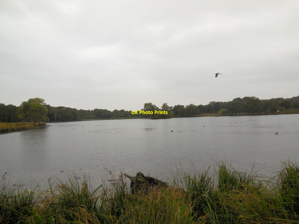 Photo 6"x4" Pen Pond, Richmond Park Kingston Upon Thames c2013